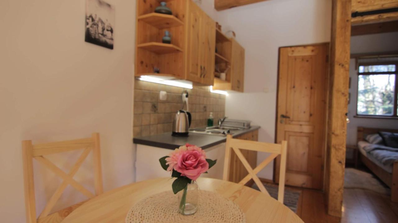 Apartamenty Pod Cisowka Ζακοπάνε Εξωτερικό φωτογραφία